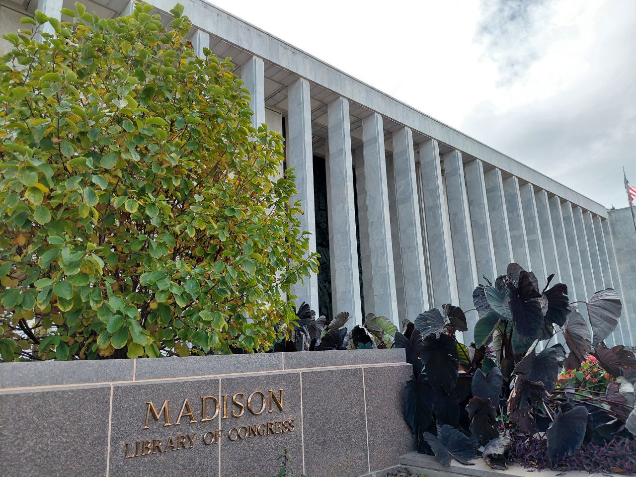 photo_5206388111477247644_y