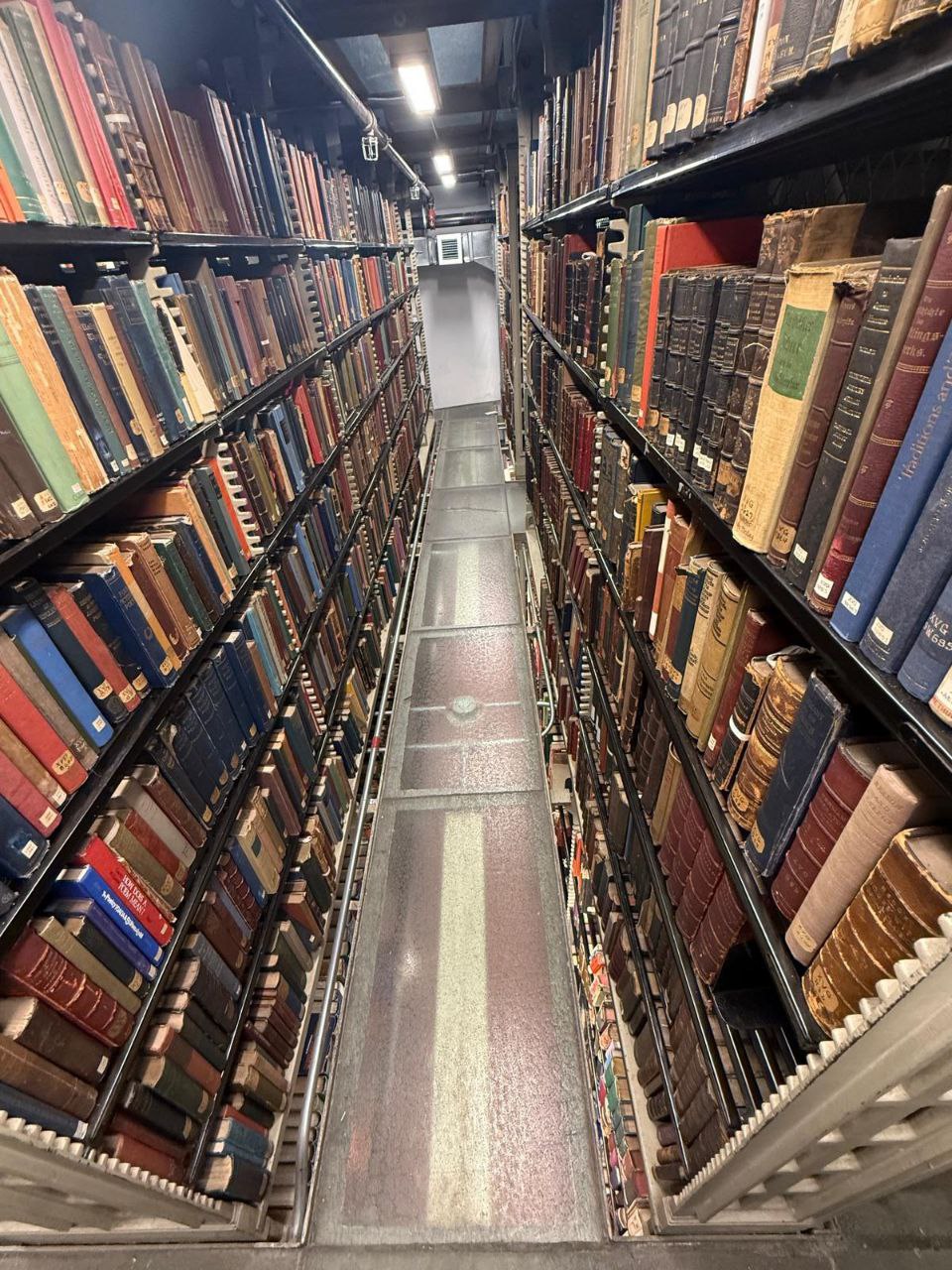 photo_5206388111477247664_y