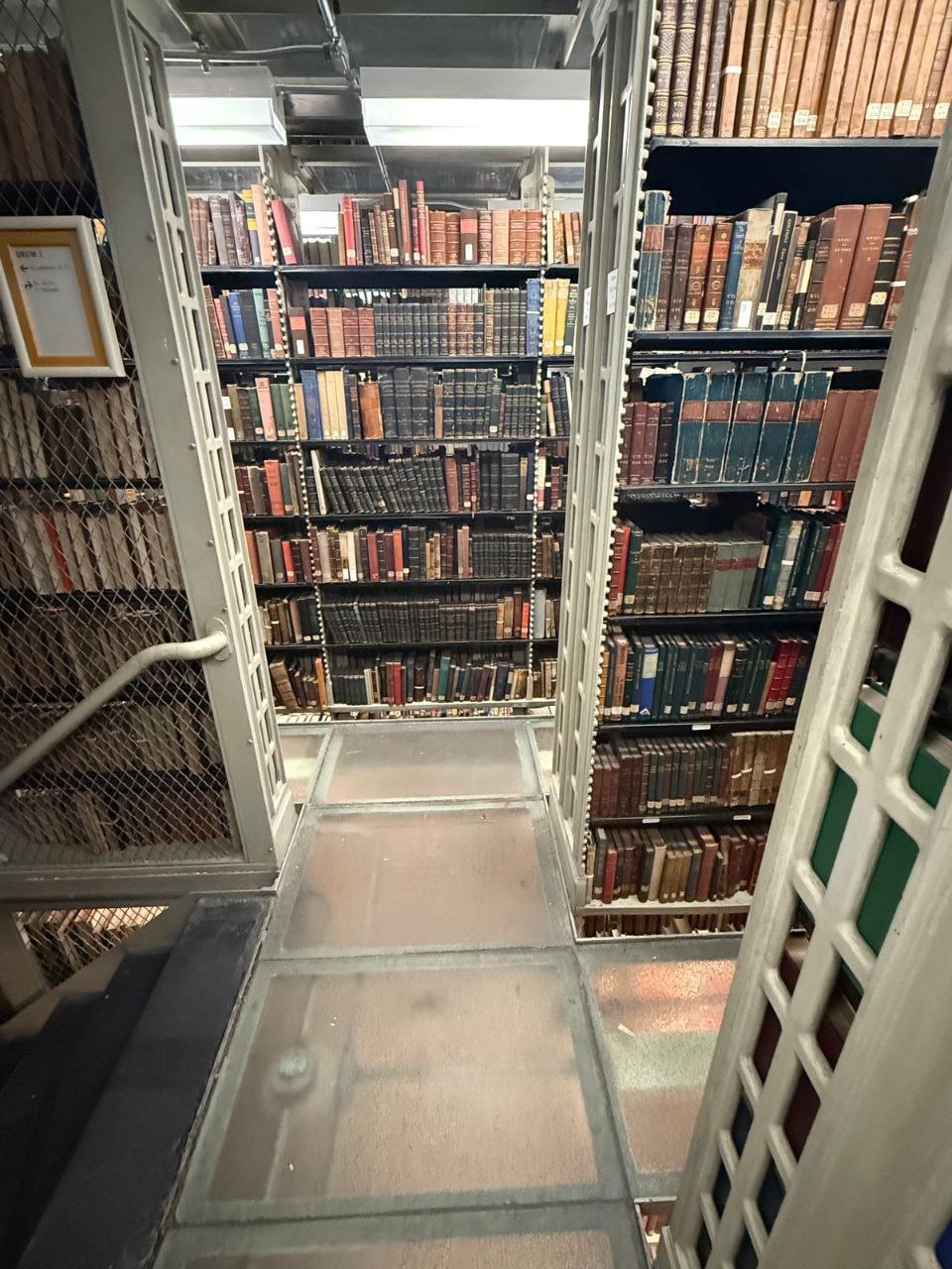 photo_5206388111477247665_y