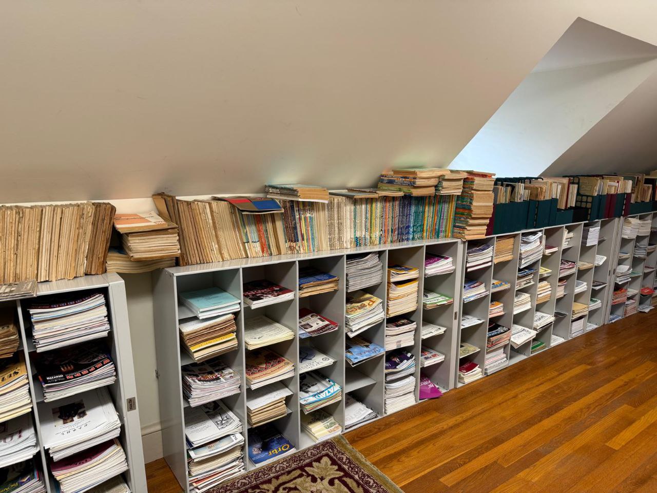 photo_5206388111477247668_y