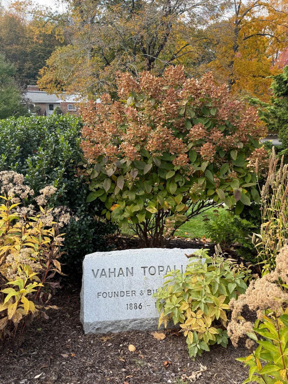 photo_5206388111477247675_y