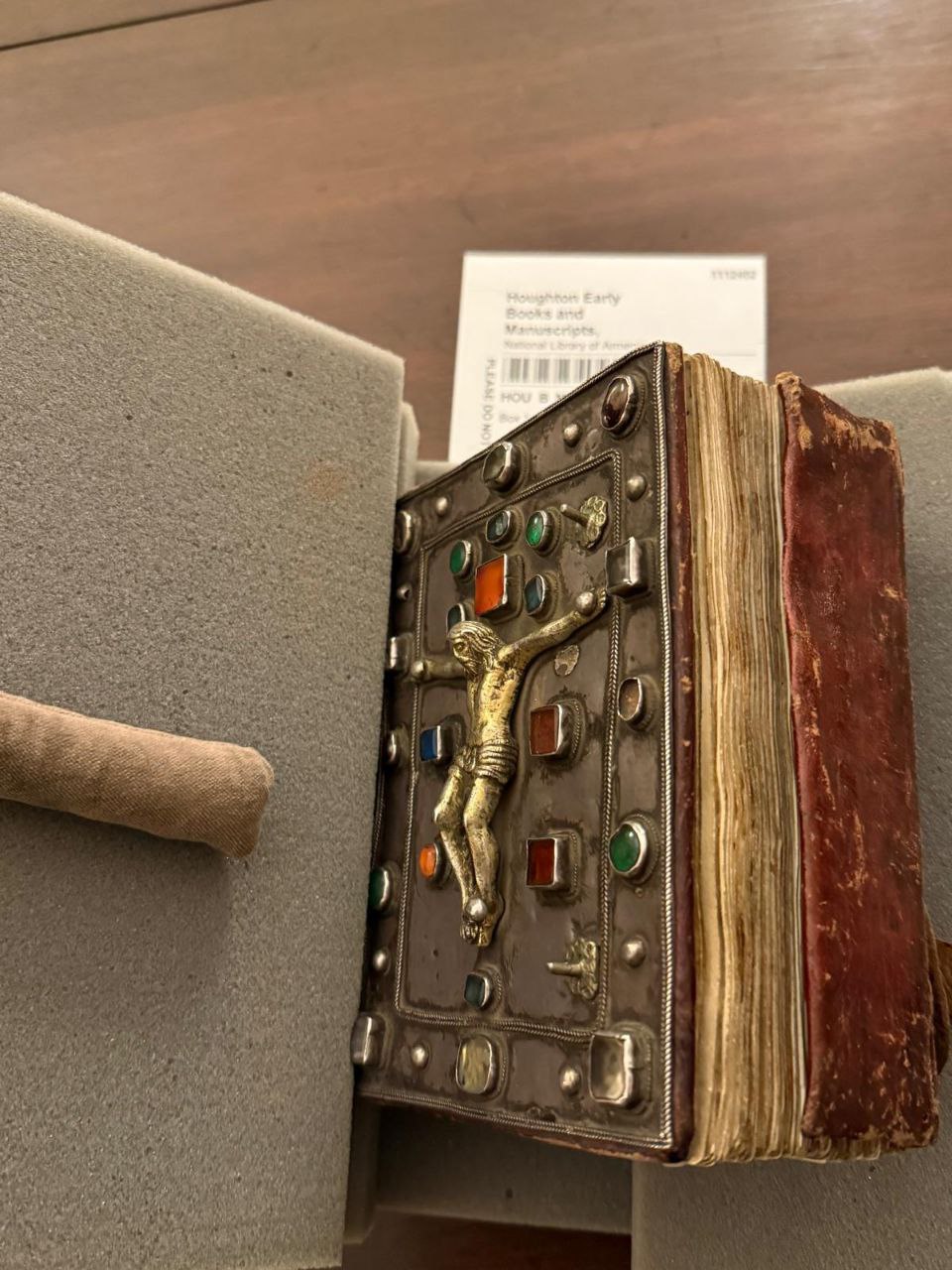 photo_5206388111477247716_y