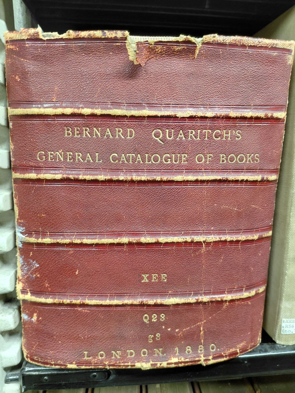 photo_5206388111477247746_y