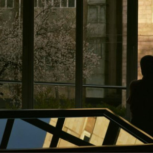 Ֆրանսիական կինոյի անդրադարձը Սինե-ակումբում․ «Ֆլանդրիա»