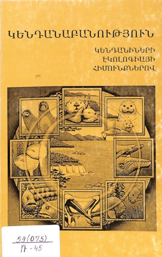 46